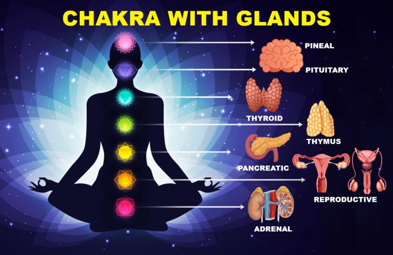 Chakra With Glands Healing and Balancing